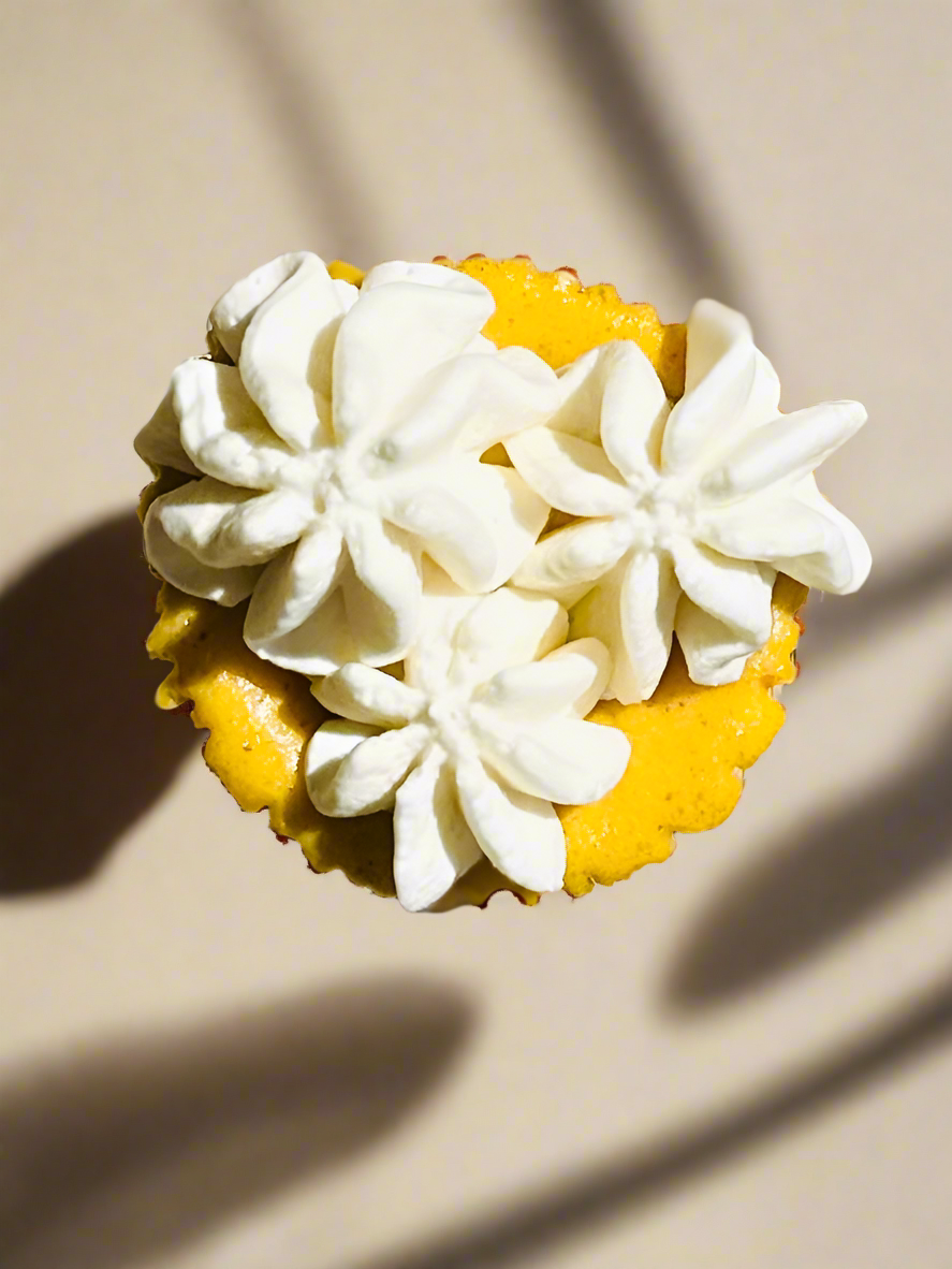 Bites- Pumpkin Spice Cheesecake (includes 6 per order) Limited Edition Cheesecake